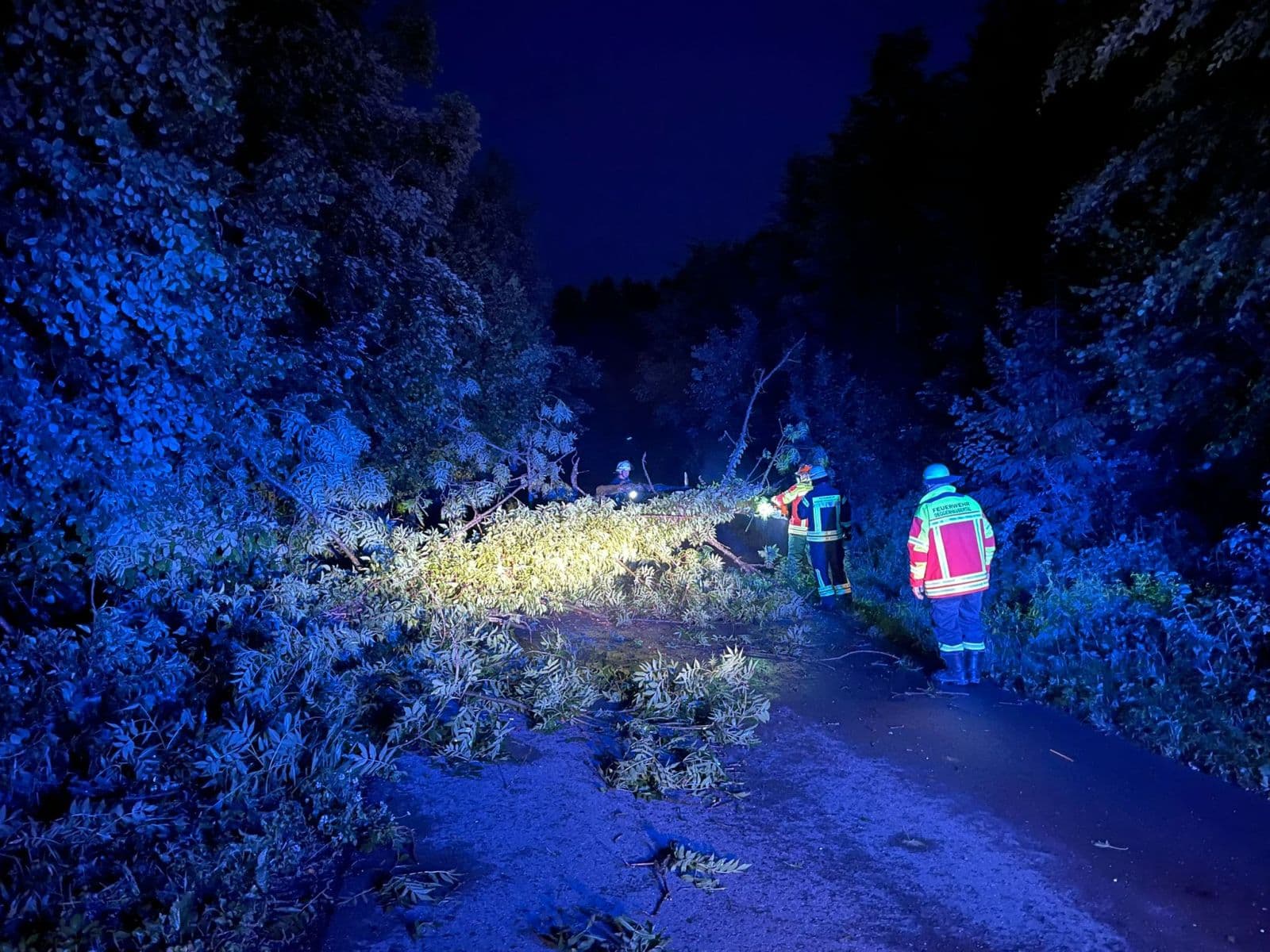Baum auf Straße