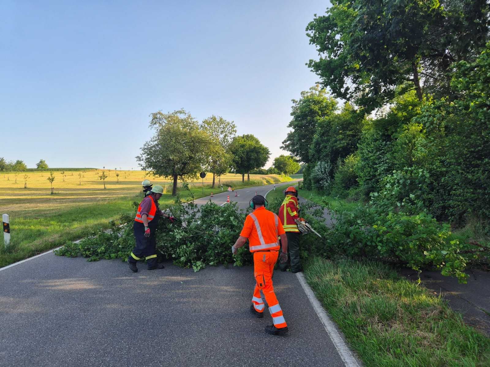 Baum droht auf Straße zu stürzen