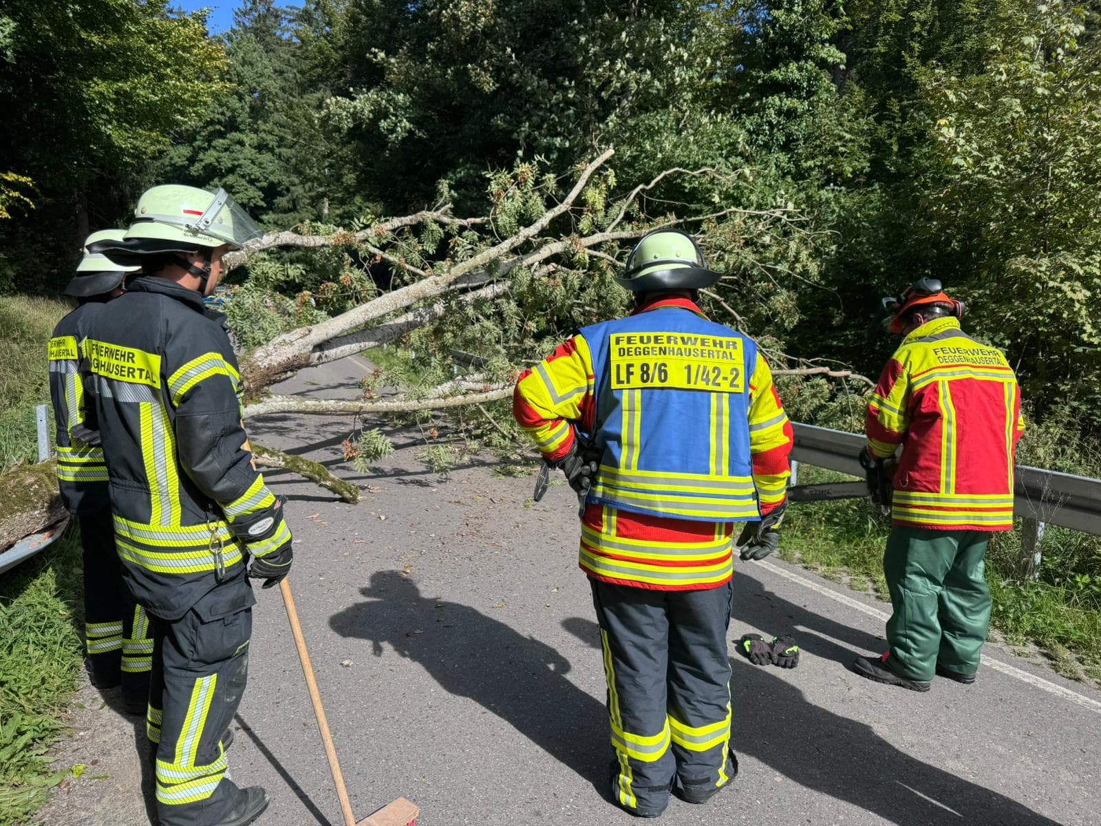 Baum auf Fahrbahn – K 7752 bei Höge geräumt