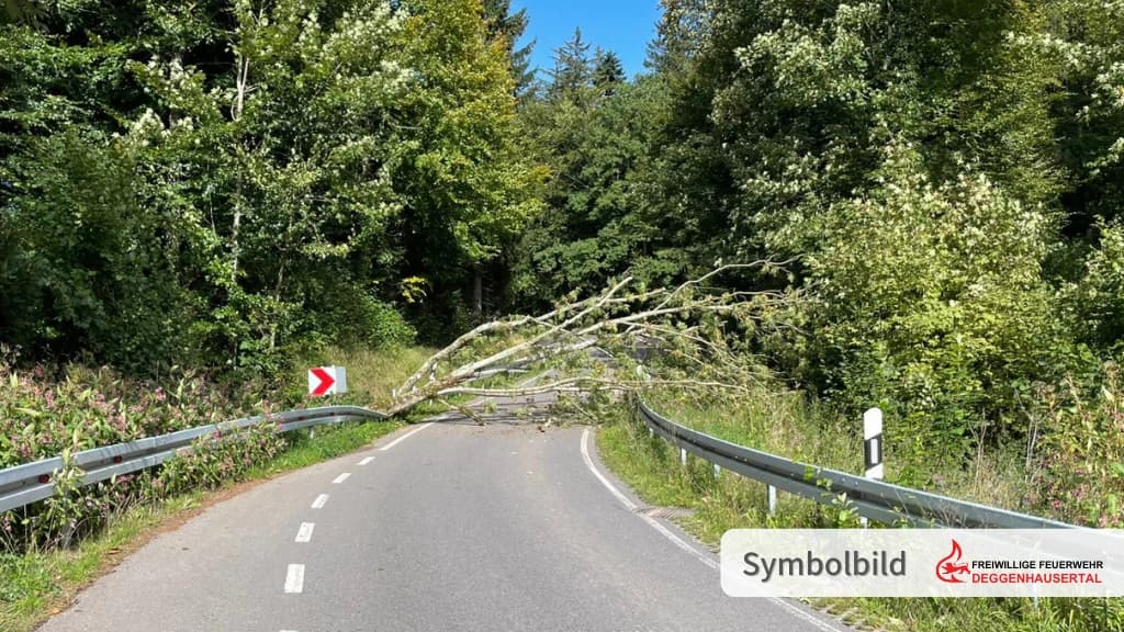 Bäume / Äste auf Straße