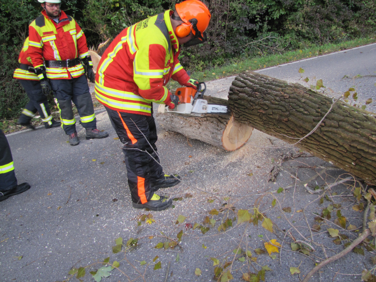 H1 - Baum über Straße