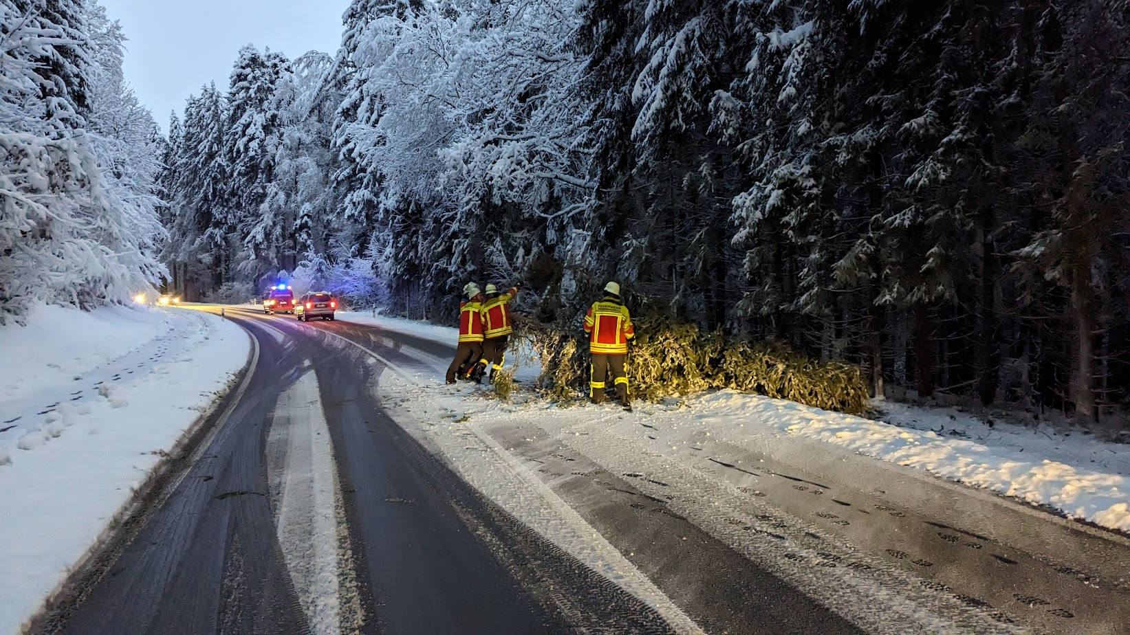 H1 - Baum auf Straße