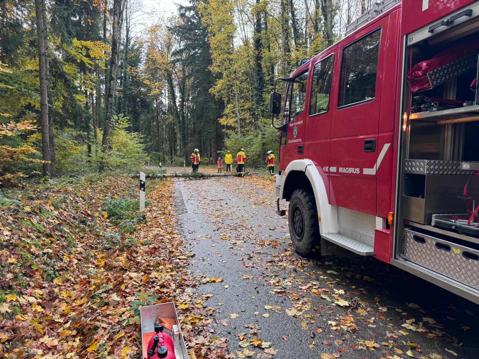 H1 - Baum auf Straße