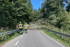 WhatsApp-Image-2025-09-16-at-15.59.111