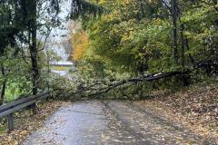 WhatsApp-Image-2025-10-24-at-09.49.27