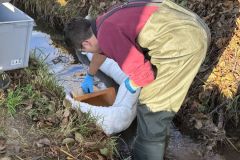 WhatsApp-Image-2025-11-17-at-15.46.52